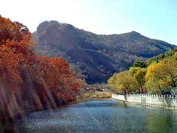 擅自改变林地用途，大家乐彩票机